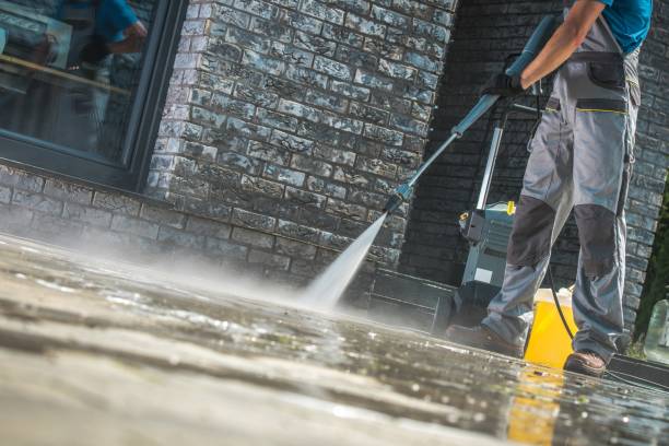 Best Animal Enclosure Cleaning  in Twin Grove, IL