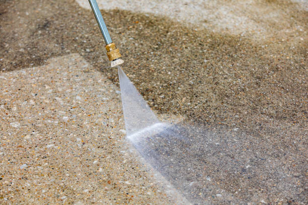 Best Roof Washing  in Twin Grove, IL