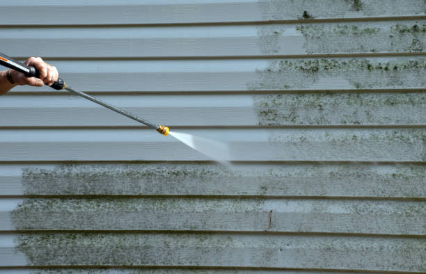 Best House Exterior Washing  in Twin Grove, IL