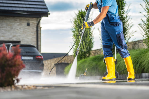Best Gutter Cleaning  in Twin Grove, IL